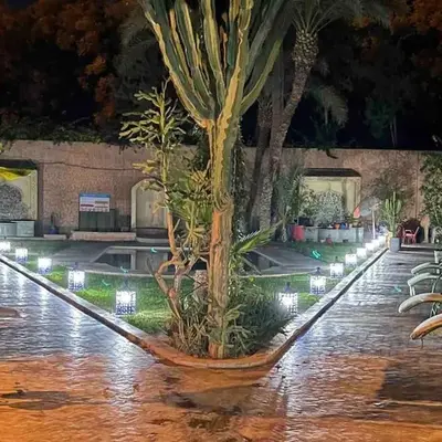 Riad Mido