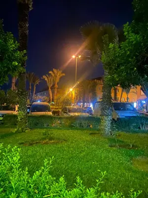 a park at night with cars and palm trees at Apparemment tout confort in Marrakech