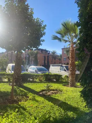 two palm trees in a park with cars parked at Apparemment tout confort in Marrakech