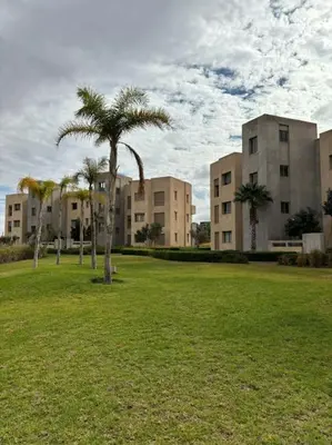 a palm tree in a field in front of buildings at Jubaea youmna in Marrakech