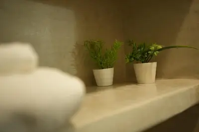 three potted plants sitting on top of a sink at Romantic getaway heart of Gueliz in Marrakech