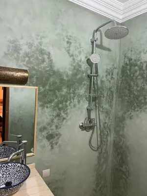a shower in a bathroom with a green wall at Habibi Riad&Hostel in Marrakech