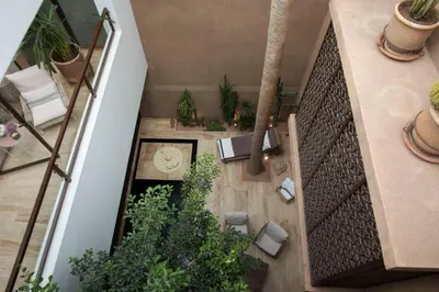 an overhead view of a room with potted plants at Riad 17 DAR CHAMAR in Marrakech