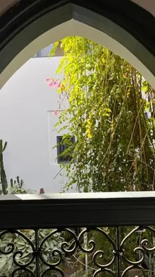 a window with a view of a plant at Riad Dar Fannan en exclusivité in Marrakech