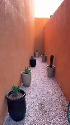 a row of potted plants are lined up against a wall at Dar Celya Sfia in Marrakech