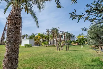 a palm tree in a park with a house in the background at White Mansion in Tameslouht