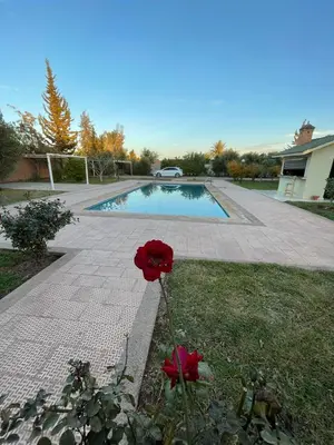 a pool with two red flowers in the grass at Deluxe Private Villa in Marrakech
