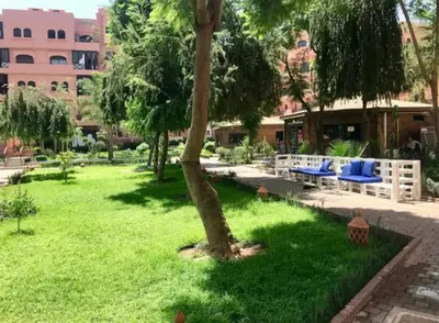 a green yard with a palm tree and chairs at Appartement 5 piscine sport in Marrakech