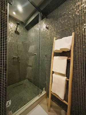 a bathroom with a shower and a towel rack at Charmant et central in Marrakech