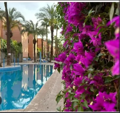 a bunch of purple flowers next to a swimming pool at Chambre individuelle in Marrakech