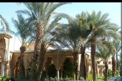a group of palm trees in front of a building at Chambre individuelle in Marrakech