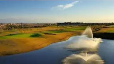 a group of birds flying over a body of water at Appartement Marrakech golfe in Marrakech