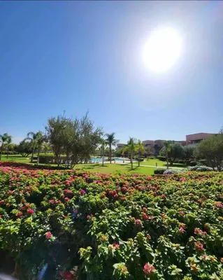 a field of flowers in a park with the sun in the sky at Appartement Marrakech golfe in Marrakech