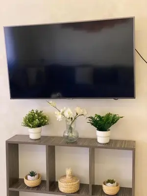 a television on a wall with three plants on a shelf at Appart26 Marrakech guéliz en face la Gare in Marrakech