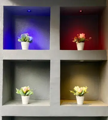 three potted plants in white pots on a shelf at Appartement Idéal pour Votre Séjour in Marrakech