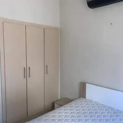 المنتزه الجديد