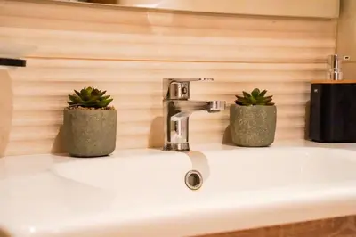 a bathroom sink with two potted plants on it at Appartement chambre et salon Perle20 Gueliz in Marrakech