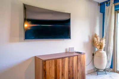 a television on a wall in a room with a vase at vue imprenable sur les jardins de la villa d Yves saint Laurent in Marrakech