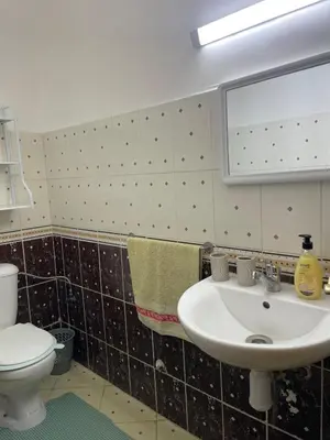 a bathroom with a sink and a toilet and a mirror at Jolie appartement à Marrakech in Marrakech