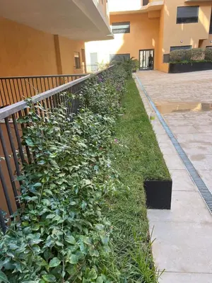 a hedge of green plants next to a building at elite garden appartment in Marrakech