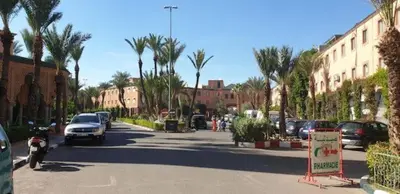 a street with parked cars and palm trees in a city at Said MM in Marrakech