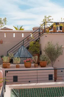 a group of potted plants sitting on a building at Riad Dar Dounia in Marrakech