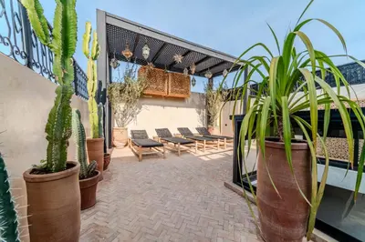 a patio with a bunch of potted plants and chairs at Riad Dar Davia - Jacuzzi Rooftop - Breakfast in Marrakech