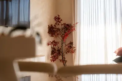 a plant on the wall next to a window at Orange apartment in Marrakech
