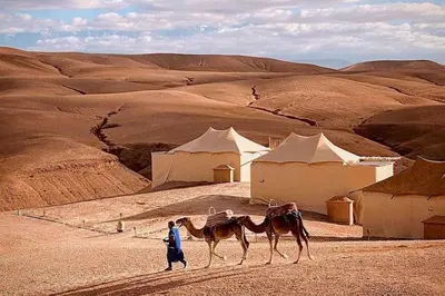 a man walking with a camel in the desert at Luxury apartment in Gueliz Marrakech in Marrakech