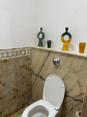 a bathroom with a toilet with two statues on a shelf at Dar lala habiba in Marrakech