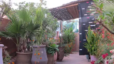 a garden with potted plants in large vases at Riad Maizie in Marrakech