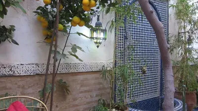 a light hanging from a tree in a garden at Riad Maizie in Marrakech