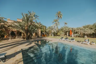 a swimming pool in a resort with palm trees at Villa Le Perroquet Bleu in Marrakech