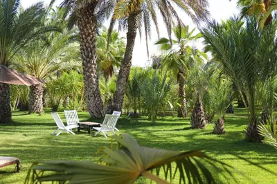 two chairs and a table in a yard with palm trees at Villa Le Perroquet Bleu in Marrakech