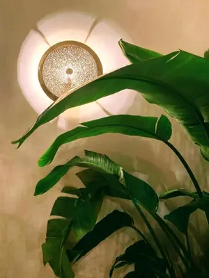 a ceiling light with a plant in front of it at Riad with 3 Swimming Pools in Marrakech