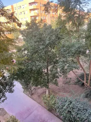 a tree in a yard next to a building at Garden View in Marrakech