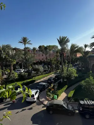 a street with cars parked in a parking lot with palm trees at Appartement in Marrakech