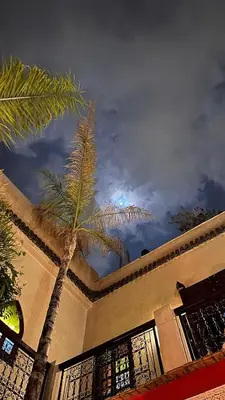 a palm tree in front of a building with the sky at superbe riad en exclusivité B&B in Marrakech