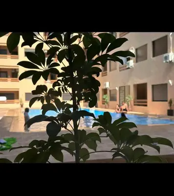 a plant in front of a swimming pool with people at apartment 12 Marrakech centr gueliz in Marrakech