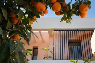 an orange tree in front of a building with a window at La Salea - Golf Amelkis in Marrakech
