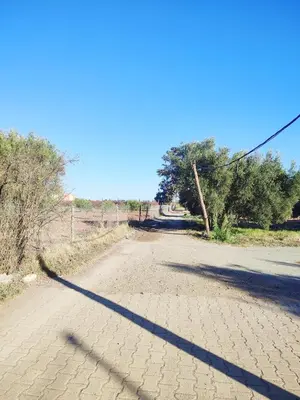 an empty road in the middle of a desert at Relaxing Family Home outside Marrakech in Marrakech