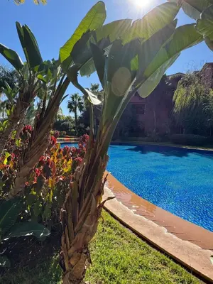 a palm tree next to a swimming pool at Zellige Suite - Gouvernante et piscine ! in Marrakech