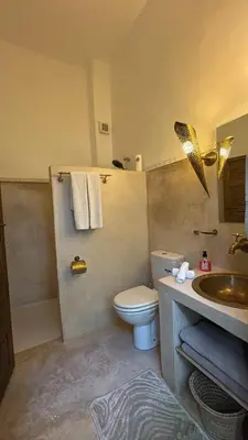 a bathroom with a toilet and a sink at Riad Amskal in Marrakech