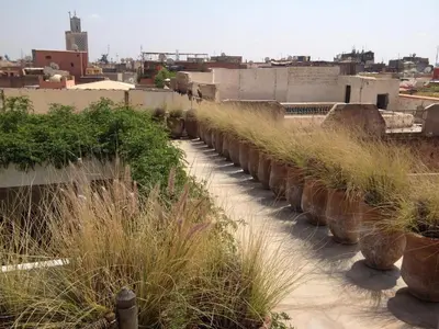 a row of potted plants on the side of a building at Riad Maiya in Marrakech