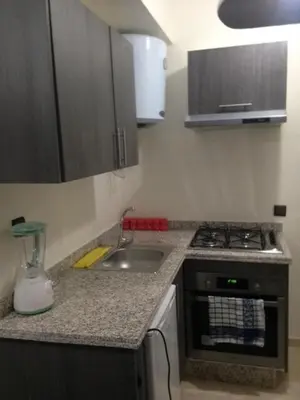 a small kitchen with a stove and a sink at Appartement Meublé Au Centre de Gueliz in Marrakech