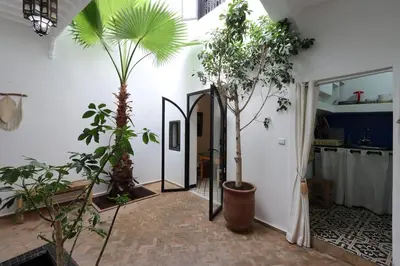 a hallway with trees and plants in a house at riad la girafe blanche de marrakech in Marrakech