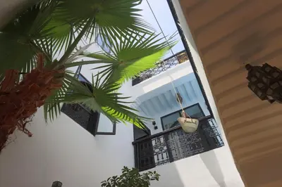 a porch with a potted plant on a balcony at riad la girafe blanche de marrakech in Marrakech