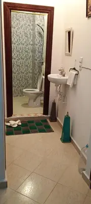 a bathroom with a shower and a toilet and a sink at Dar Kouzzou in Marrakech