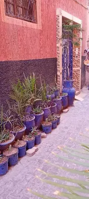 a row of blue potted plants in front of a building at Dar Kouzzou in Marrakech