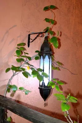 a lamp hanging on a wall with a potted plant at the old house in Marrakech